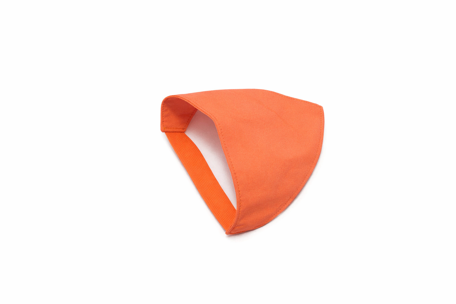 Blaze Dog Bandana
